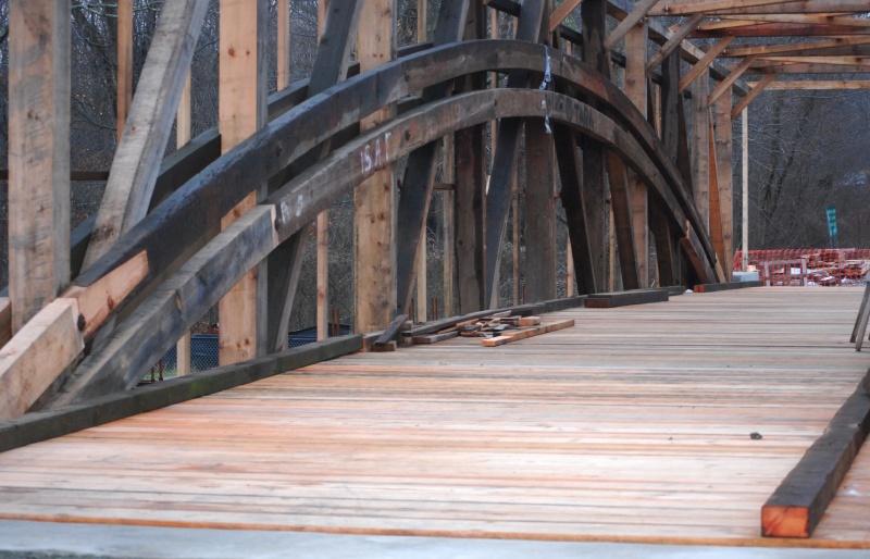 Gilpin's Falls January 2010