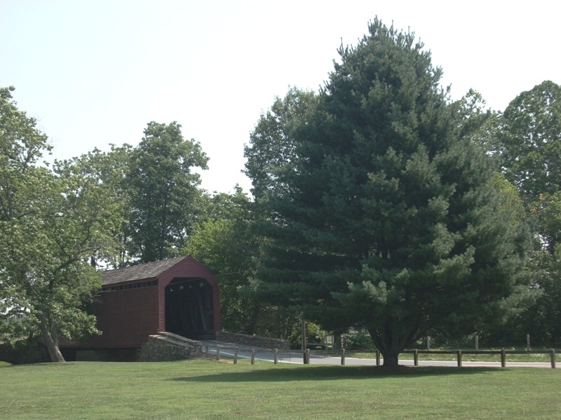 Loys Station 2008